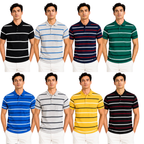 Striped Polo Shirt 233567